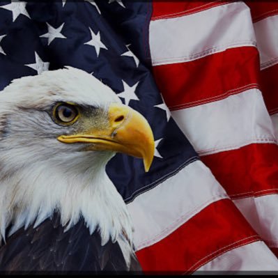 American Rebel with many causes. Freedom is not Free. Democracy is fundamentally WE THE PEOPLE. MAGA DOGE MAHA 🇺🇸 Anti-WOKE 💯🇺🇸American Jewish Zionist 🇮🇱
