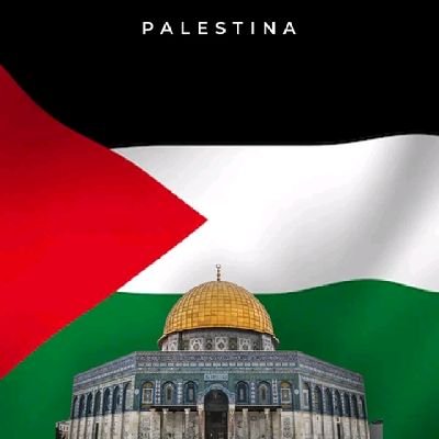 abduljalilj96's profile picture. 