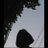 k5x5UkqfWaraZpv's profile image