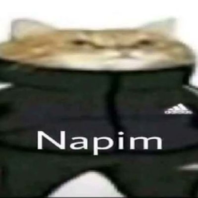 Ozdemir44Y's profile picture. just hanging around