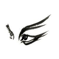 여성국극 아카이브 (@wgukgeukarchive) 's Twitter Profile Photo