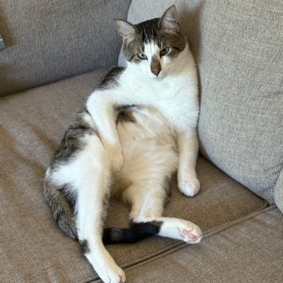 DaveKvam's profile picture. The larger the government, the smaller the citizen. Always wrong; never in doubt.