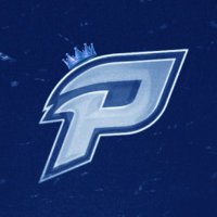 Perrcos (@perrcoss) 's Twitter Profile
