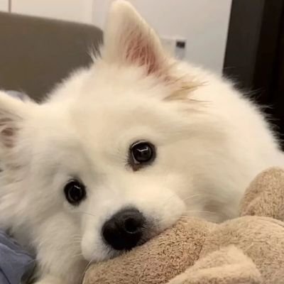 mngxing98053864's profile picture. 