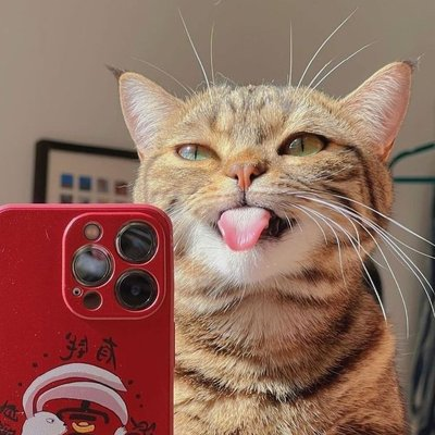 Idris1868162's profile picture. crazy about cryptocurrencies and NFTnnTSC - 7719