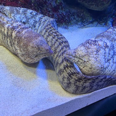 gambleyame's profile picture. ギャンブル依存症 競馬、競艇、パチンコ、スロット。ギャンブルをやめるまでの記録！