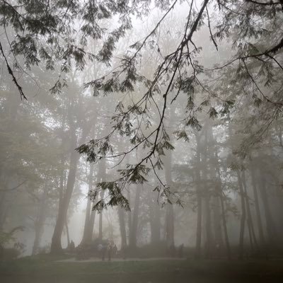 huntingBWC's profile picture. 