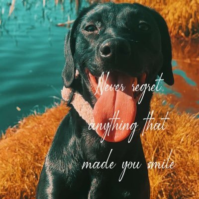 this is my journey from 8 week old puppy to assistance dog (paws crossed) my brother is a very hard working assistance dog who I hope to take over from