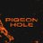 pigeon_hole