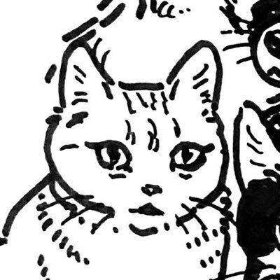 ネコに救われたアラサー 30yo cat person / Transformers / Kamenrider / INFJ-T / My List: https://t.co/AyUucxFzz9 /猫＝Cheshire(チェシャ/チェス)♀ アイコン知人作
