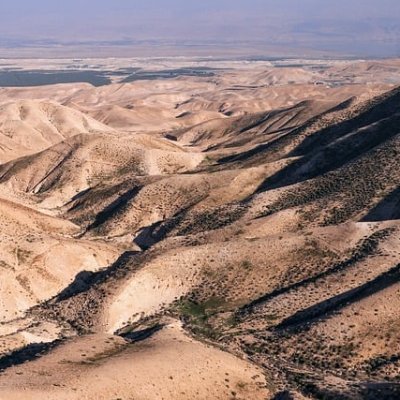 ceartian49075's profile picture. 