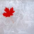 TeamCanada2010's profile image