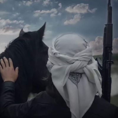 محمد القحطاني Profile