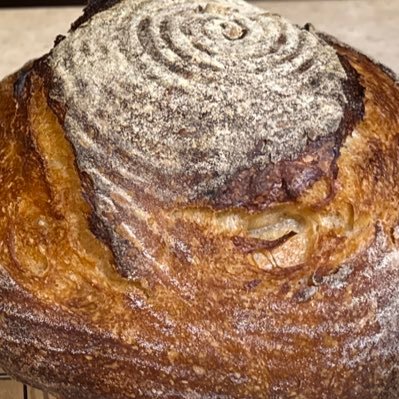 A passion project about Sourdough. https://t.co/mUoOpWgTJc