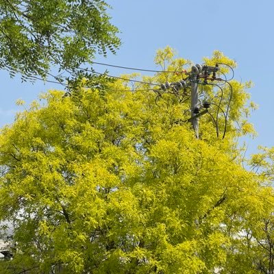 vidinaJ's profile picture. 無言フォローすみません/見る専
２０↑