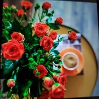 HAKYMA (@ebhf6b) 's Twitter Profile