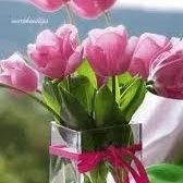 AlsautiOba18982's profile picture. 