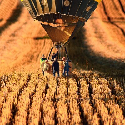 gesayaer1730's profile picture. Vẽ tranh tường (Mural Painting), Nghiên cứu về các nền văn minh thất lạc, Tìm hiểu về các loại rượu mạnh đặc biệt