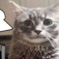 ... (@3amyapping) 's Twitter Profile