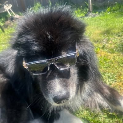 txnymorfin's profile picture. 