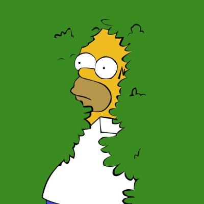 QWACKSCOPE's profile picture. 