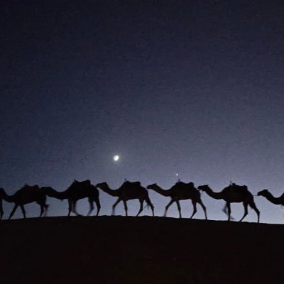 matthewgazin's profile picture. 