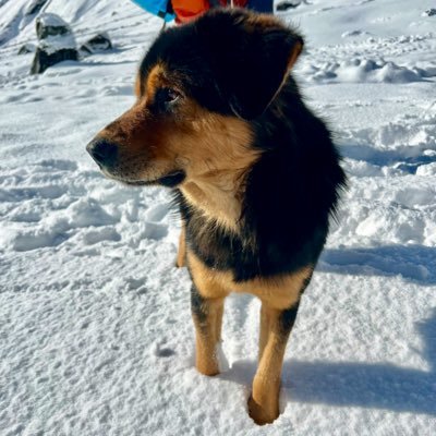 sornsarass's profile picture. Gee! even the sun takes note on how your mom shines 🌻✨💥