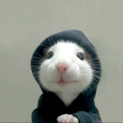 bosbusinessman's profile picture. Web Dev | UI/UX | Streamer | Web3 Curious
bosbusinessman@gmail.com