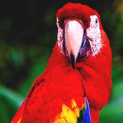 Irreverente, terca, entusiasta, romántica, corazón de arepa y Mamá de 1.