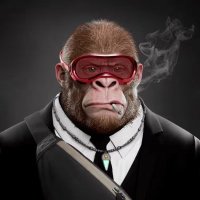 Dopa (@traderdopa) 's Twitter Profile
