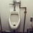 Profile Picture of The Urinator (@SteveTreadway1) on Twitter