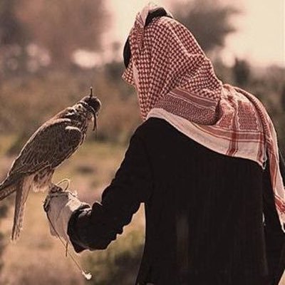 رُبما يُساق إليكَ قدرٌ مِنَ اللّه، خيرٌ مِن كُل أَحلامك .