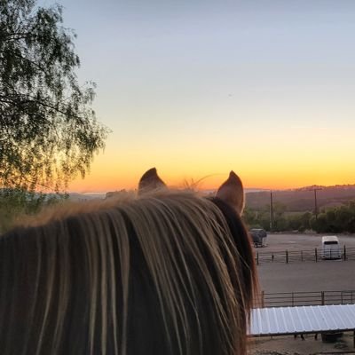 truthsayersson's profile picture. 