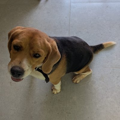 98e1f01a7aca42b's profile picture. 