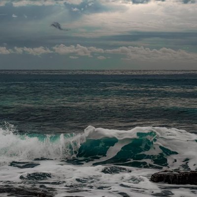 Ragaliar185390's profile picture. Nghiên cứu văn hóa các quốc gia, Sưu tầm di vật lịch sử, Làm đồ tái chế nghệ thuật