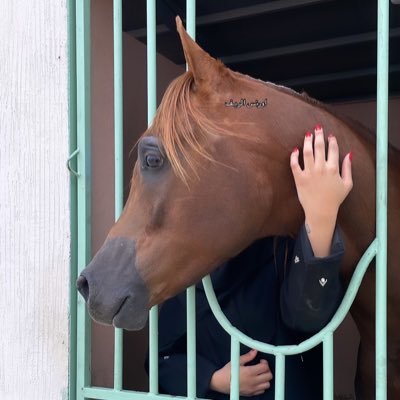 تخـصص إعـلام عـام - Fashion designer - 🐎 - ميّـاله للكتابـه - خبرة بالعلاقات العامه مهتمه بالاخراج وإدارة الفعاليات | 🏹🎯