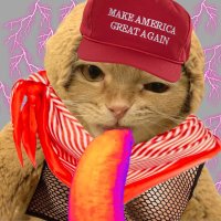 Ramona White (@whiteramon5339) 's Twitter Profile