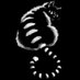 Julshav (@julshav_) Twitter profile photo Julshav (@julshav_) Twitter profile photo