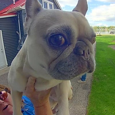 Steve734734's profile picture. 