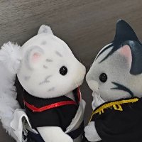 ♡（𝐵𝑢𝑧𝑦） (@arcywillea40238) 's Twitter Profile Photo