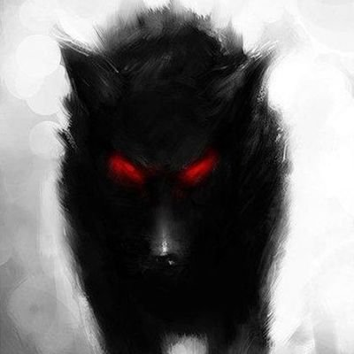 MagicMitch16029's profile picture. i luv all types of art