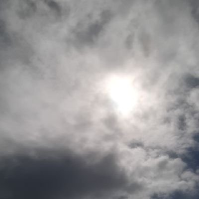 slovkof's profile picture. 