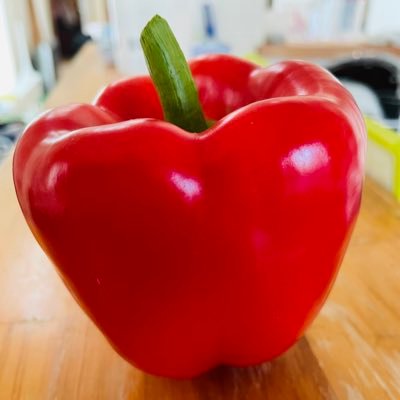 Rio_essential's profile picture. 「我がキチゲを、ここに棄てる」