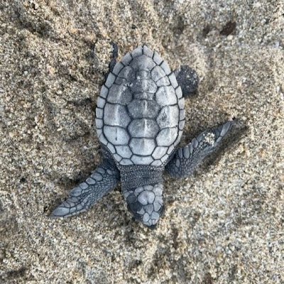 PeoplesMor87409's profile picture. 