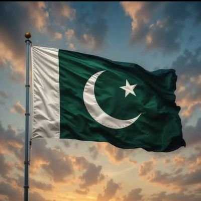 rafirajput3's profile picture. http://MPhil Mathematics , M.A Urdu