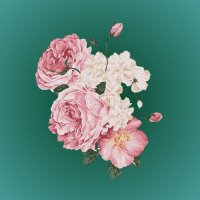 Greenie (@greenthumbx2) 's Twitter Profile