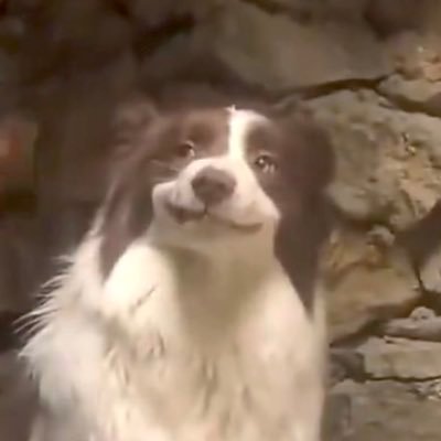 SemajjTheMuse's profile picture. 𝐓𝐚𝐥𝐥.𝐍𝐞𝐫𝐝.𝐒𝐢𝐧𝐠𝐞𝐫 ✨ | 𝐈'𝐦 𝐢𝐧 𝐩𝐫𝐨𝐜𝐞𝐬𝐬 🌓 | Solange student/stan 😅✨