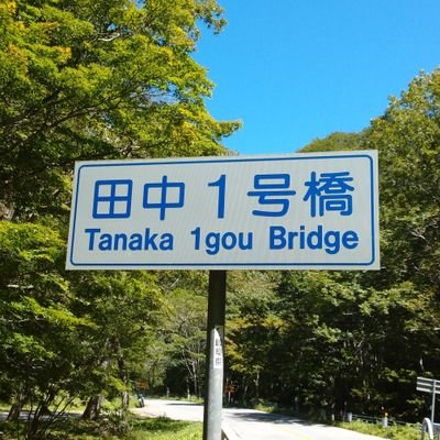 バイク(VTR250→GB250→SV400S→TRACER900GT)、昭和60年式、疾風巡拝中、わんこかわいいよわんこ