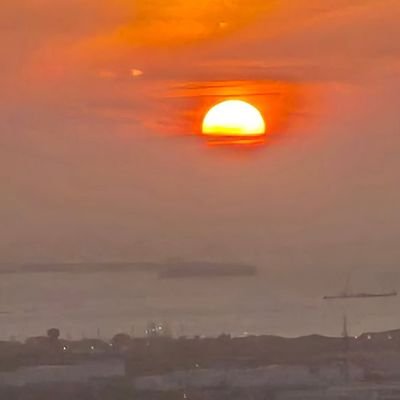 gatobys's profile picture. Joder