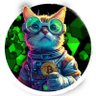 HappyCatKripto's profile picture. 